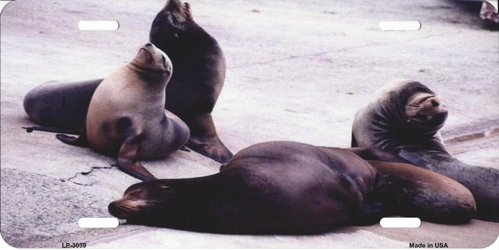 Sea Lions License Plate