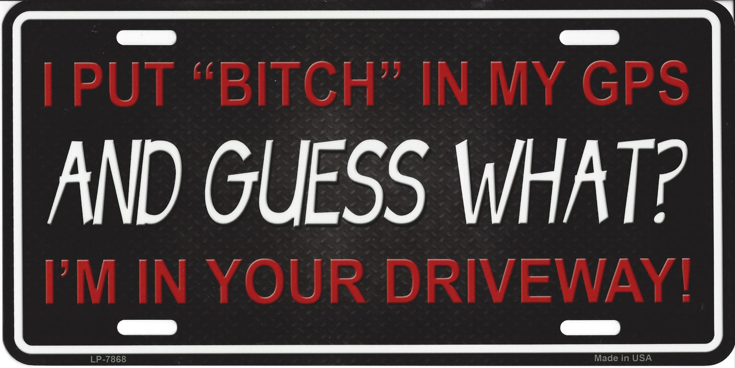 I Put Bitch In My GPS And Guess What …Plate