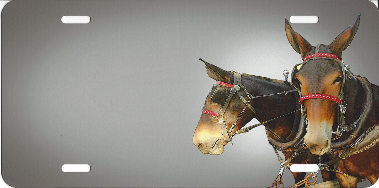 Two Donkeys Airbrush License Plate