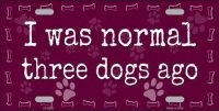 I Was Normal Three Dogs Ago Metal License Plate