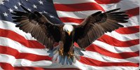 Eagle On Wavy U.S. Flag Photo License Plate