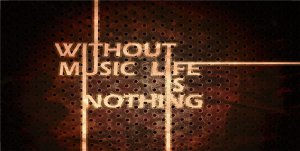 Without Music Life Is Nothing Photo License Plate