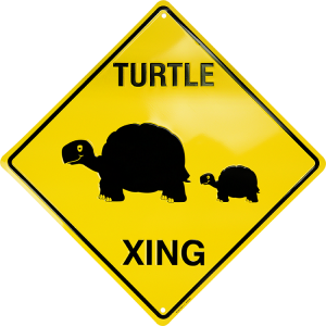 Turtle Xing Metal Parking Sign