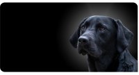 Black Lab Dog On Black #2 Photo License Plate