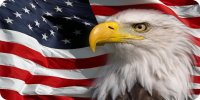 Bald Eagle On Wavy American Flag Photo License Plate