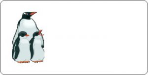 Offset Penguin Family On White Photo License Plate