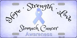 Stomach Cancer Ribbon Metal License Plate