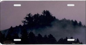 Fog in the Pines Airbrush License Plate