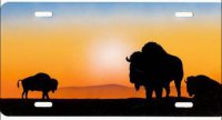 Bison / Buffalo License Plate