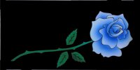 Blue Rose On Black Personalize License Plate