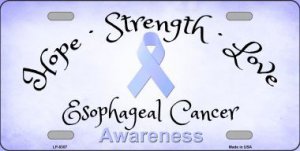 Esophageal Cancer Ribbon Metal License Plate