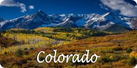 Colorado Snowy Mountain Scene Photo License Plate