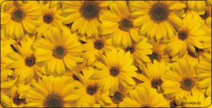 Sunflowers Photo License Plate