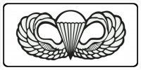 Airborne Wings Photo License Plate
