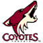 Arizona Coyotes