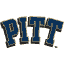 Pittsburgh Panthers