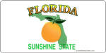 Florida License Plates & Frames