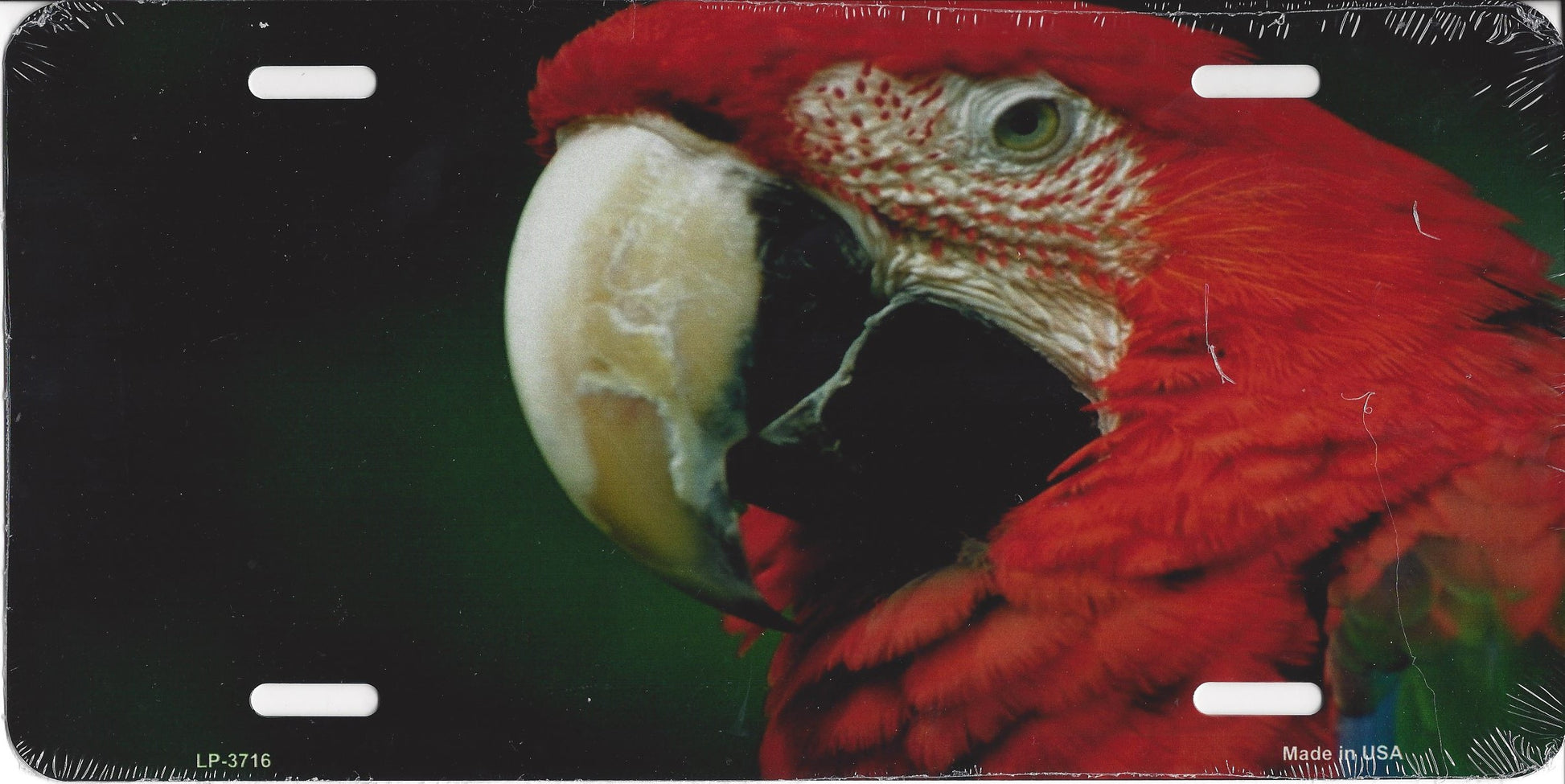 Red Macaw Metal License Plate