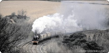 Railroad Train Photo Plate #3