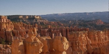 Bryce Canyon Photo License Plate