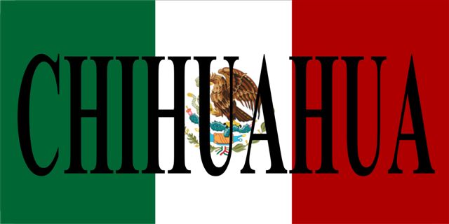 Mexico Chihuahua Photo License Plate