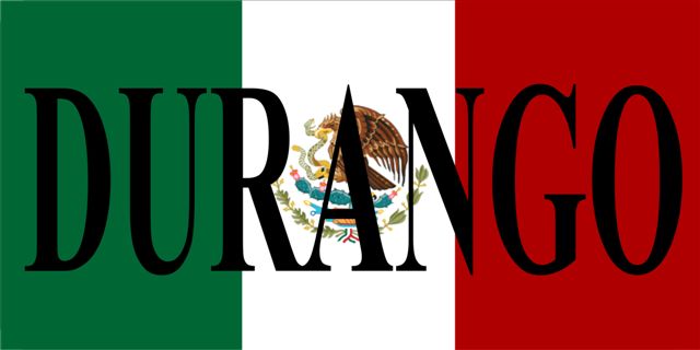 Mexican Flag with Durango Photo License Plate