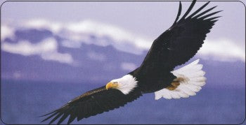 Soaring Eagle On Clouds Photo License Plate