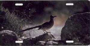 Roadrunner Photo License Plate