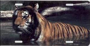 Bengal Tiger Photo License Plate