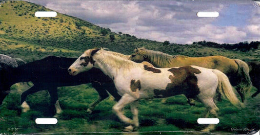 Wild Horses Running License Plate