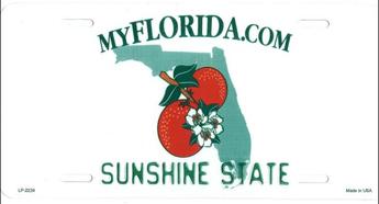 MyFlorida.com Sunshine State License Plate