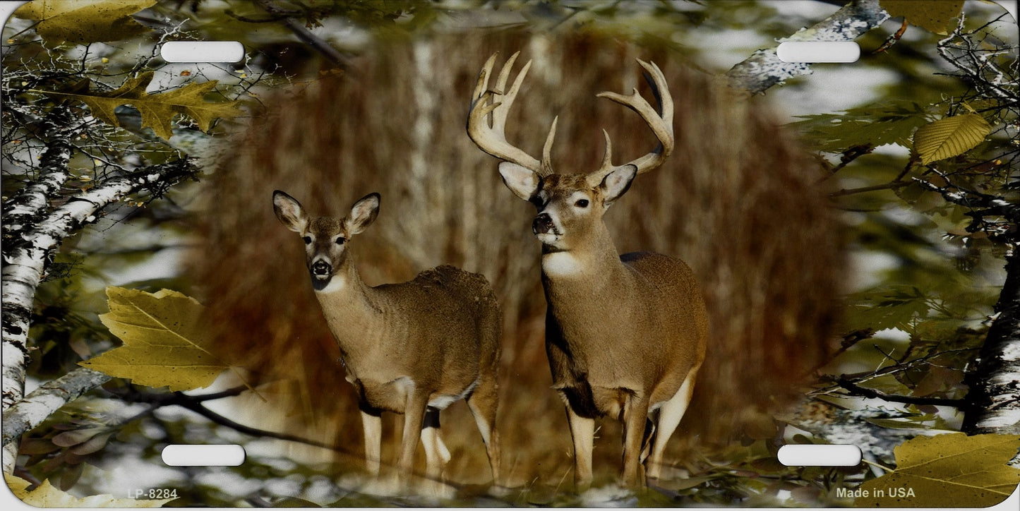 Deer On Woodland Metal License Plate