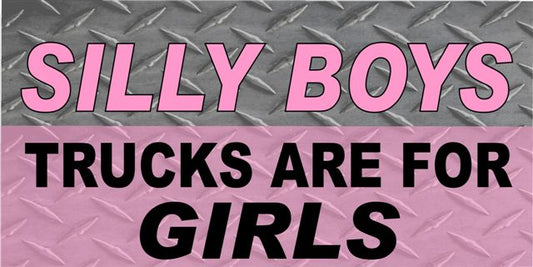 Silly Boys ... Pink Diamond Photo License Plate