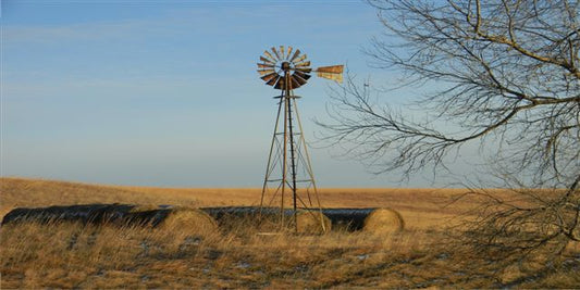 Windmill Photo License Plate