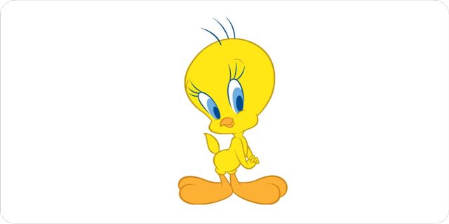 Tweety Bird Photo License Plate