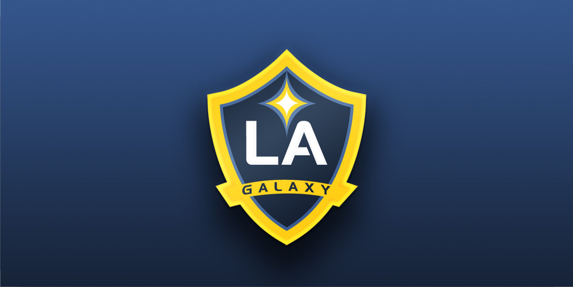 LA Galaxy Photo License Plate