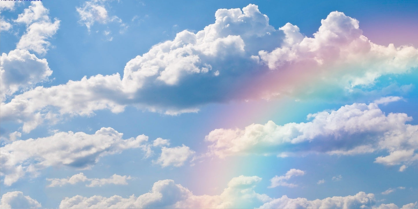 Rainbow In Clouds #1 Photo License Plate