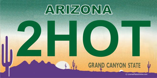 Arizona 2HOT Photo License Plate