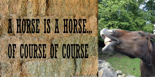 A Horse Is A Horse ... Photo License Plate