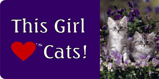 This Girl Love's Cats Photo License Plate