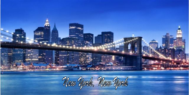 New York, New York Photo License Plate