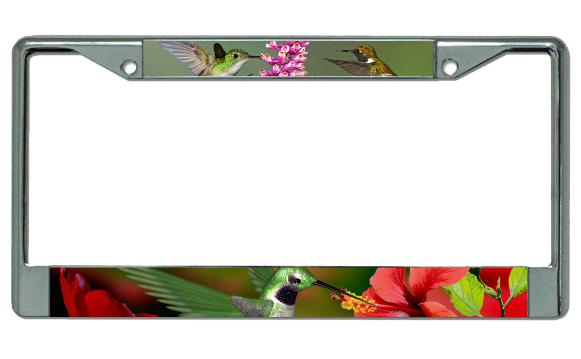 Hummingbirds Chrome Photo License Plate Frame