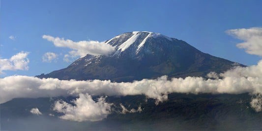 Mt. Kilimanjaro Photo License Plate