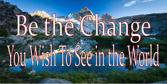 Be The Change You Wish To See In The World Photo License Plate