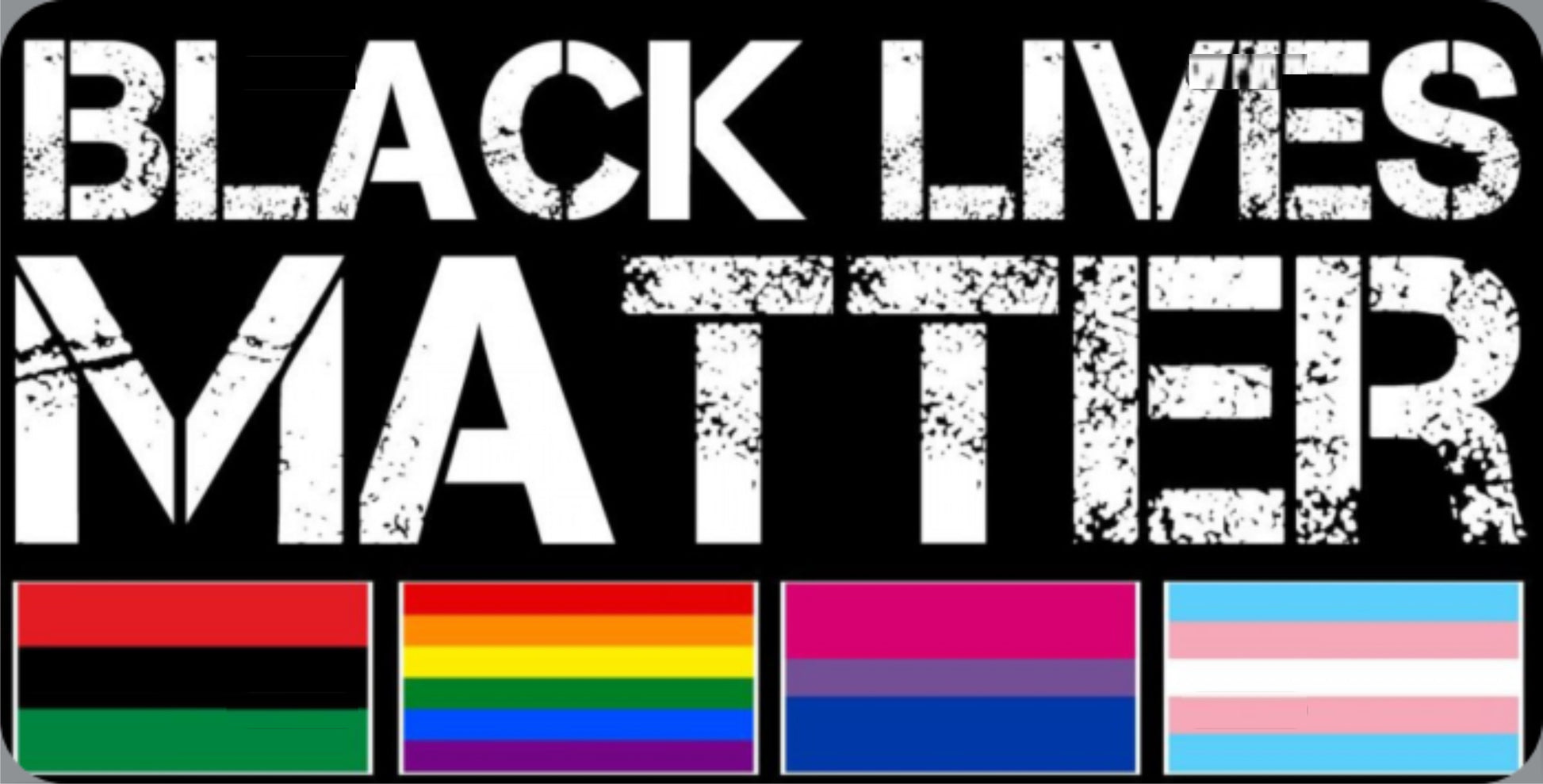 Black Lives Matter Flags Photo License Plate