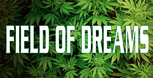 FIELD OF DREAMS Photo License Plate