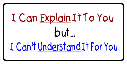 I Can Explain It To You But I Can't Understand It For You