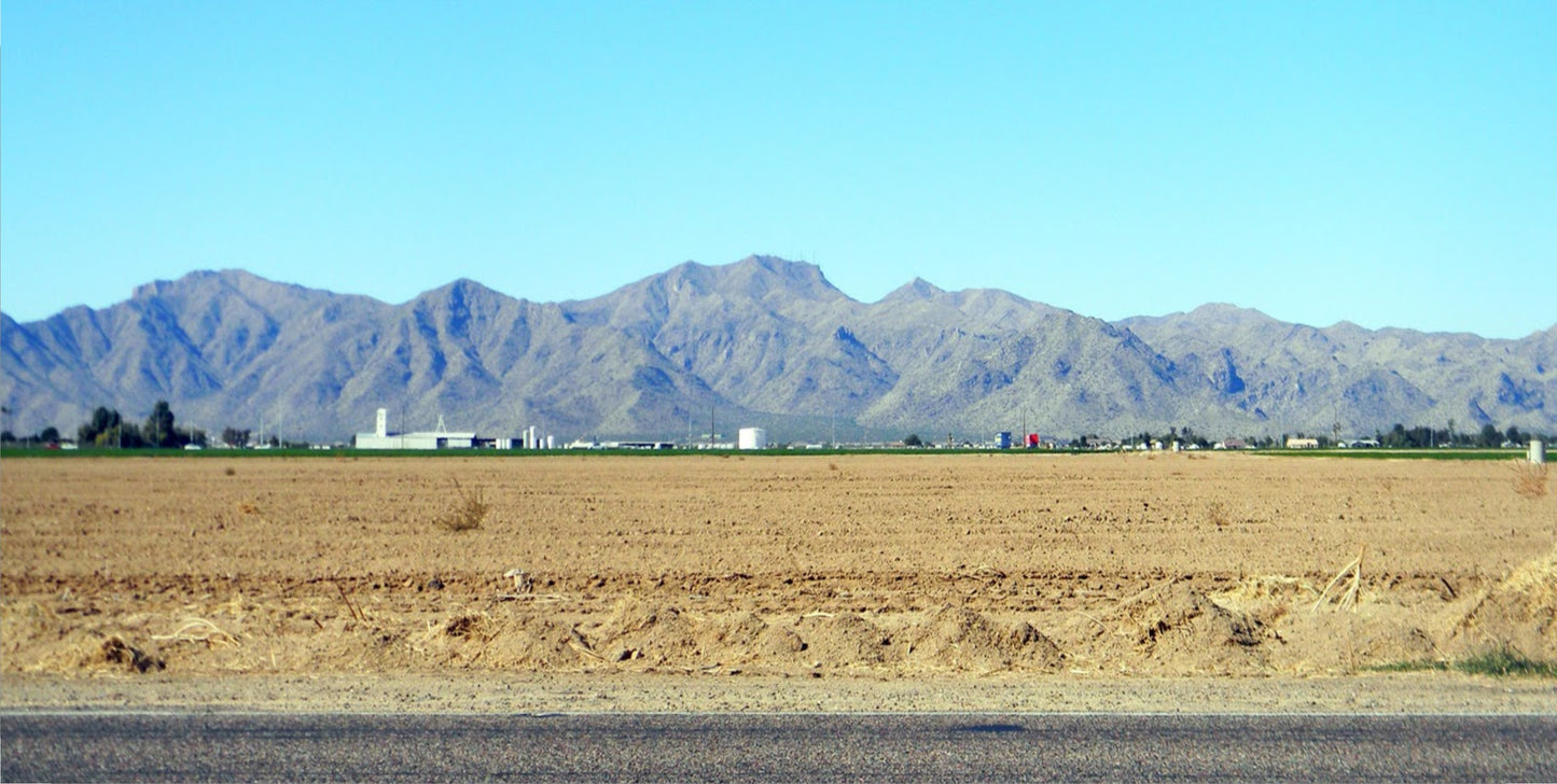 White Tanks Photo License Plate