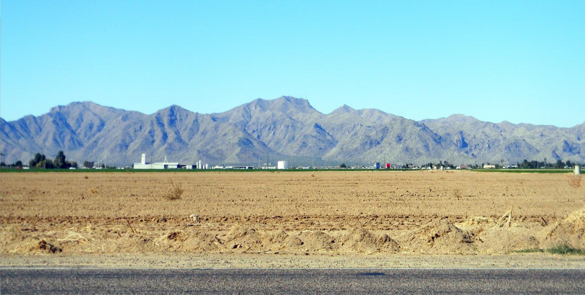 White Tanks Photo License Plate