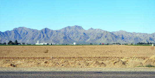 White Tanks Photo License Plate